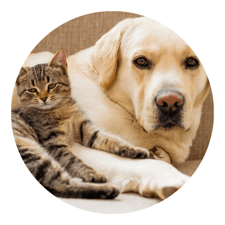 PETS